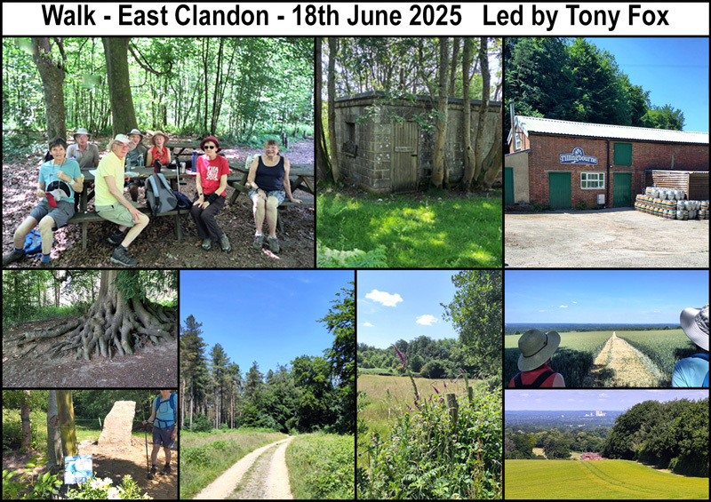Walk - East Clandon - 18th June 2025